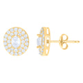 10K Yellow Gold Womens Oval Round Cubic-Zirconia Fashion Stud Earrings