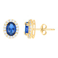 10K Yellow Gold Womens Blue White Oval Round Cubic-Zirconia Oval Fashion Stud Earrings