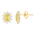 10K Yellow Gold Womens Yellow White Oval Round Cubic-Zirconia Flower Fashion Stud Earrings