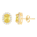 10K Yellow Gold Womens Yellow White Oval Round Cubic-Zirconia Oval Fashion Stud Earrings