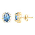 10K Yellow Gold Womens Blue White Oval Round Cubic-Zirconia Oval Fashion Stud Earrings