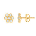 14K Gold Cubic Zirconia Earring