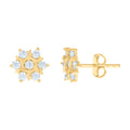 14K Gold Cubic Zirconia Earring