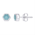 925 Sterling Silver Women Natural Blue Stone Octagon Fashion Stud Earrings