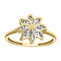 14K Gold Ring