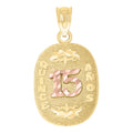 10K Two-tone Gold Diamond-Cut Womens 15 Anos Quinceanera Charm Pendant