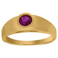 10K Yellow Gold Baby Round Purple Cubic Zirconia Birth Stone Ring