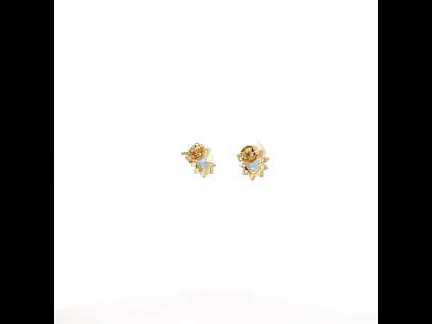 10K Yellow Gold Womens Blue White Oval Round Cubic-Zirconia Flower Fashion Stud Earrings
