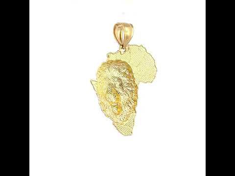 10K Yellow Gold Mens Diamond-Cut Lion Head Africa Map Country Globe Maps Pendant